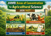 JAMB Areas of Concentration for Arabic 2026/2027